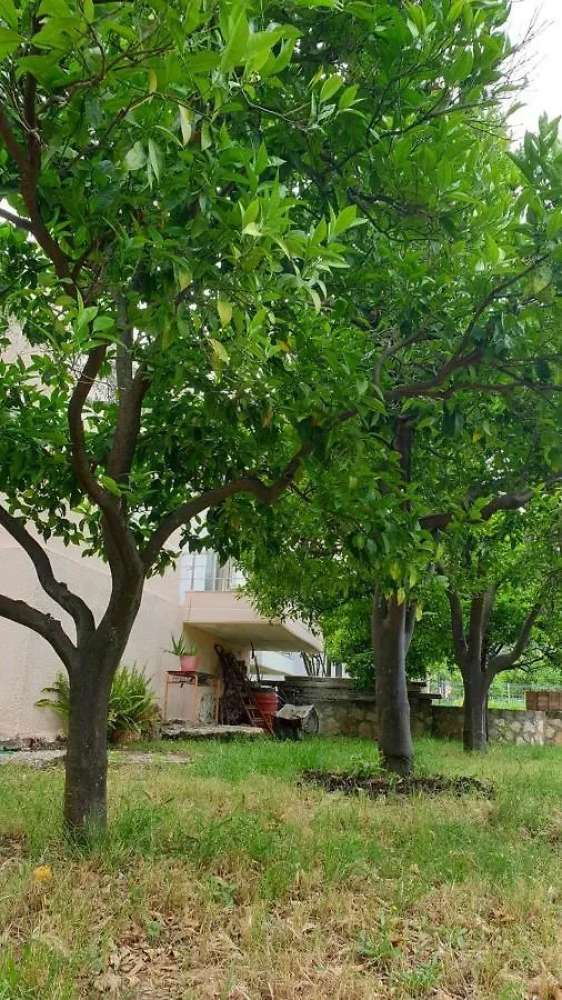 Cheerful 3-Bedroom Private Villa in Borsh!